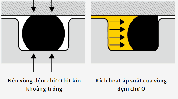 O ring 2
